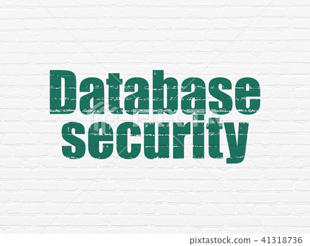 Database concept: Database Security on wall background 41318736