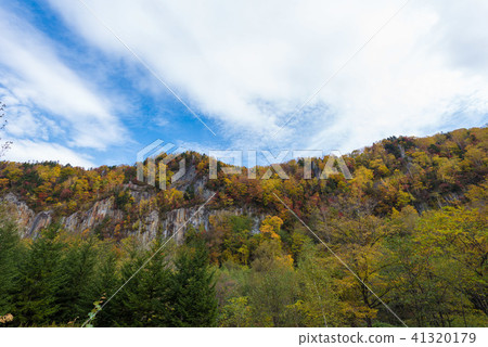Sounkyo Gyoza 41320179