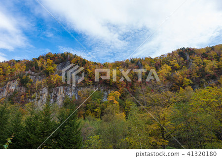 Sounkyo Gyoza 41320180