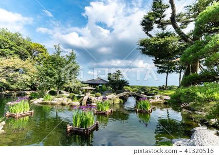 Seniwaoen 41320516