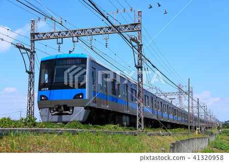 小田急4000型在伊勢原的稻田中運行 小田急4000型在伊勢原的稻田中運行 41320958