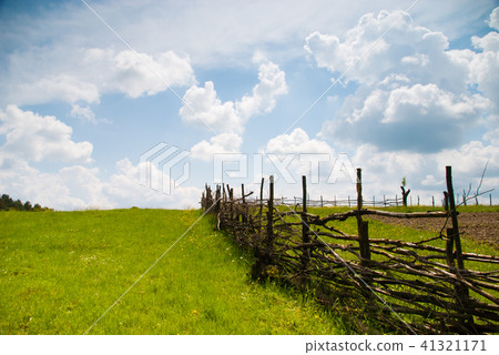 Rural summer landscape 41321171