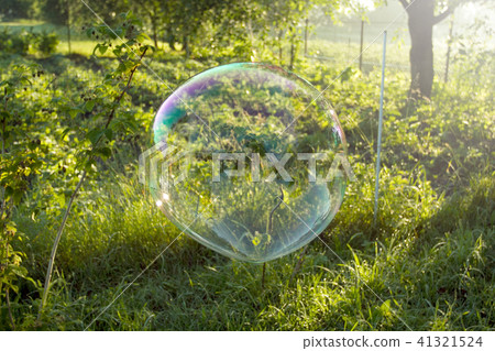 Big soap bubble flying in the air Big soap bubble flying in the air 41321524