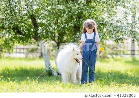 Little girl with a big white dog in the park. Little girl with a big white dog in the park. 41322808