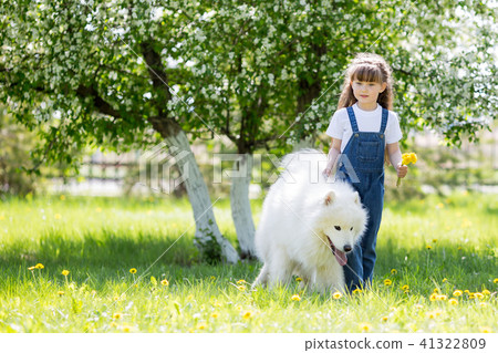 Little girl with a big white dog in the park. 41322809