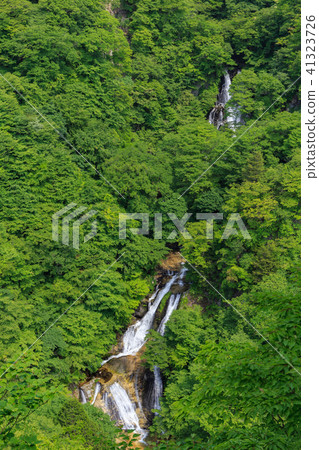 栃木縣日光市Kirinoyotei（5月） 41323726