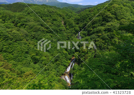 栃木縣日光市Kirinoyotei（5月） 41323728