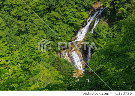 栃木縣日光市Kirinoyotei（5月） 41323729