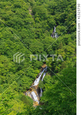 栃木縣日光市Kirinoyotei（5月） 41323730