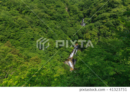 栃木縣日光市Kirinoyotei(5月) 栃木縣日光市Kirinoyotei(5月) 41323731