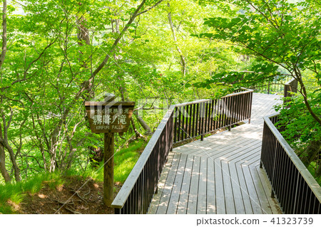 栃木縣日光市麒麟見觀景瀑布（5月） 41323739