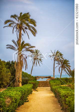 Way to the sandy beach on tropical resort Way to the sandy beach on tropical resort 41323960