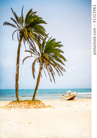 palm trees on white sand beach and powerboat palm trees on white sand beach and powerboat 41323961