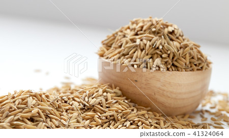Brown paddy rice closed up 41324064