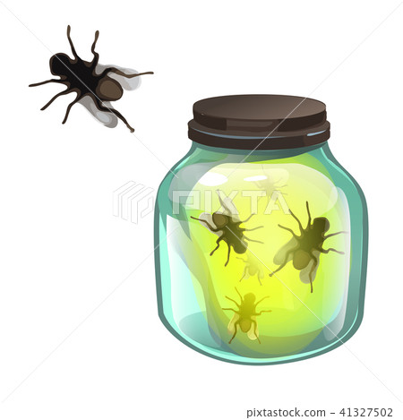Glass transparent jar with flies inside isolated on white background. Vector cartoon close-up 41327502