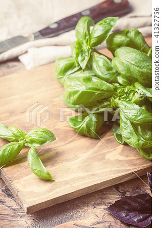 Fresh green basil plant Fresh green basil plant 41327756