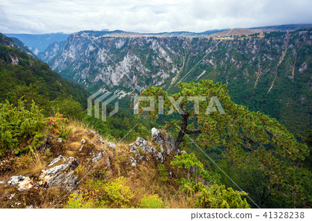 Canyon in Durmitor National Park Canyon in Durmitor National Park 41328238
