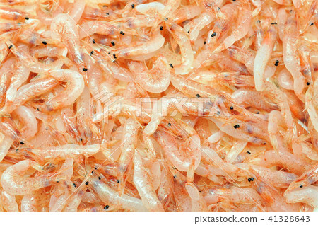 原始的Sakebea 41328643