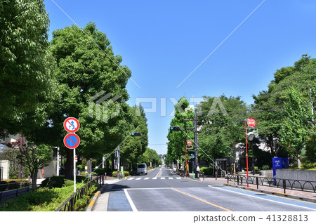 Landscape of Setagaya Lily tree street 41328813