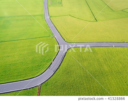Rice Path Rice Path 41328866