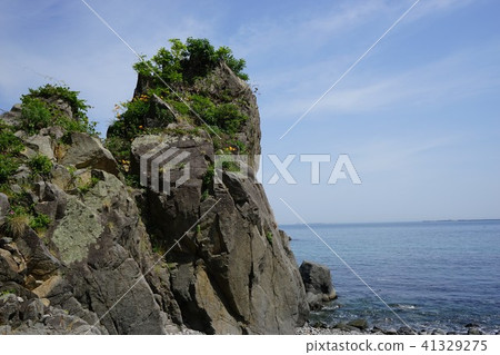三陸地質公園Kuji的海岸 41329275