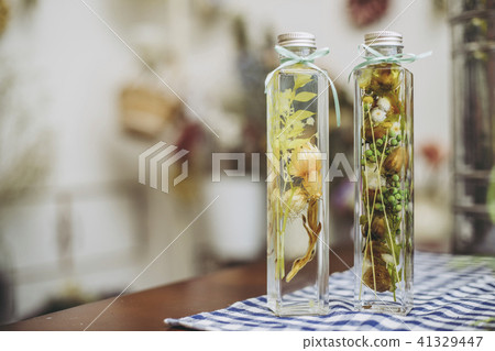 植物標本室插花 41329447