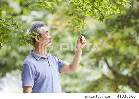 Life, retirement, man Life, retirement, man 41330506