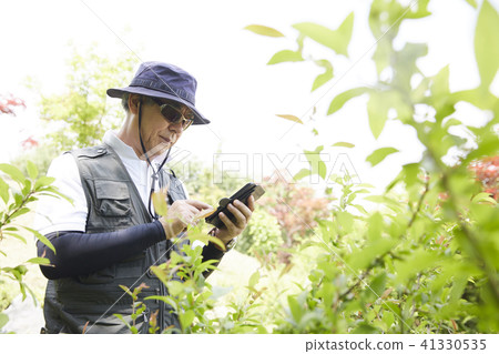 Life, Cellphone, Man Life, Cellphone, Man 41330535