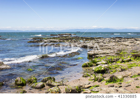 Nama's coast 41330885