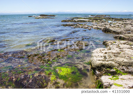 Nama's coast 41331000