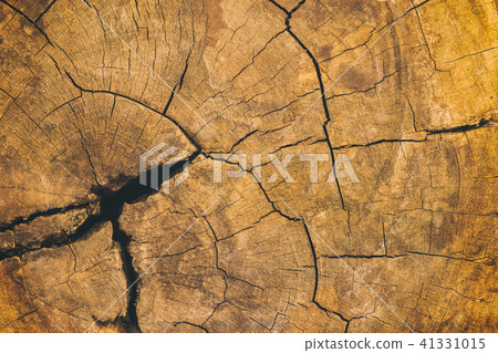 Vintage surface wood table and rustic texture back 41331015