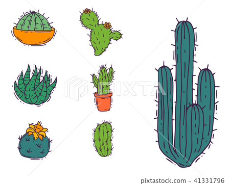 Cactus home nature vector illustration of green plant cactaceous tree with flower 41331796