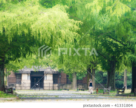 公園 41331804