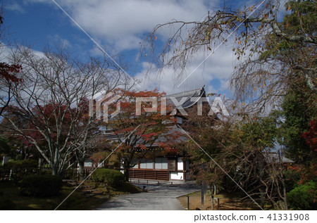 Kotobukiya怪物 Kotobukiya怪物 41331908