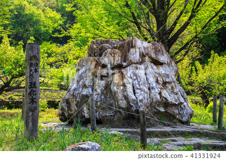 Japan Showa Village 41331924