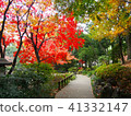 Autumn leaves 41332147