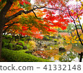 Autumn leaves 41332148