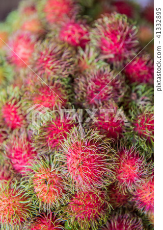 rambutan, Negrito, Semang, sweet Thai fruit rambutan, Negrito, Semang, sweet Thai fruit 41332895