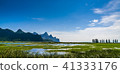 Khao Sam Roi Yot floodplain, mountain, swamp, tree 41333176