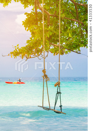 Wooden swing hanging on a branch of tree at sea Wooden swing hanging on a branch of tree at sea 41333530