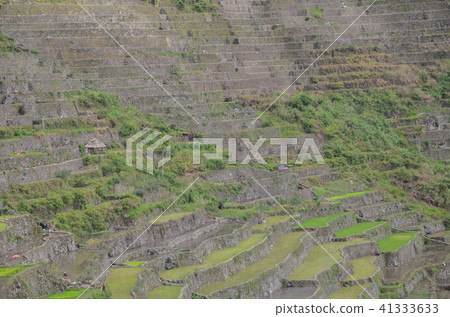 Batad的稻田 Batad的稻田 41333633