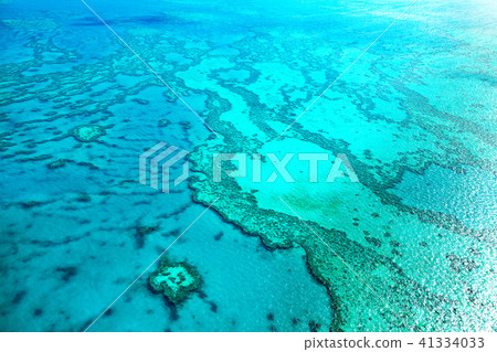 Great Barrier Reef Great Barrier Reef 41334033
