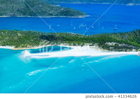 Whitehaven Beach 41334626