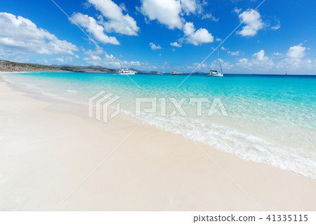 Whitehaven Beach 41335115