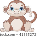 Baby monkey  41335272