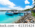 漢密爾頓島碼頭 41335424