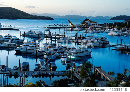 哈密爾頓島濱海日落視圖 41335548