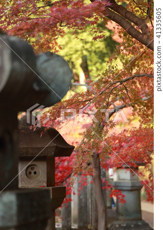  Stone lantern 41335605