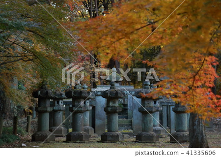Stone lantern Stone lantern 41335606