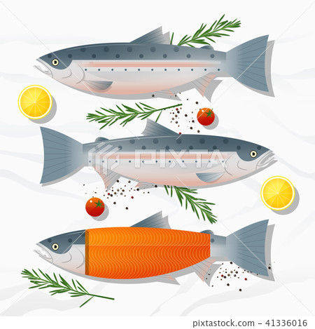 Set of fresh raw salmon fish and spices Set of fresh raw salmon fish and spices 41336016